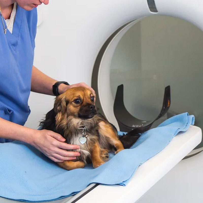 CT Scan Diagnostic Imaging Service