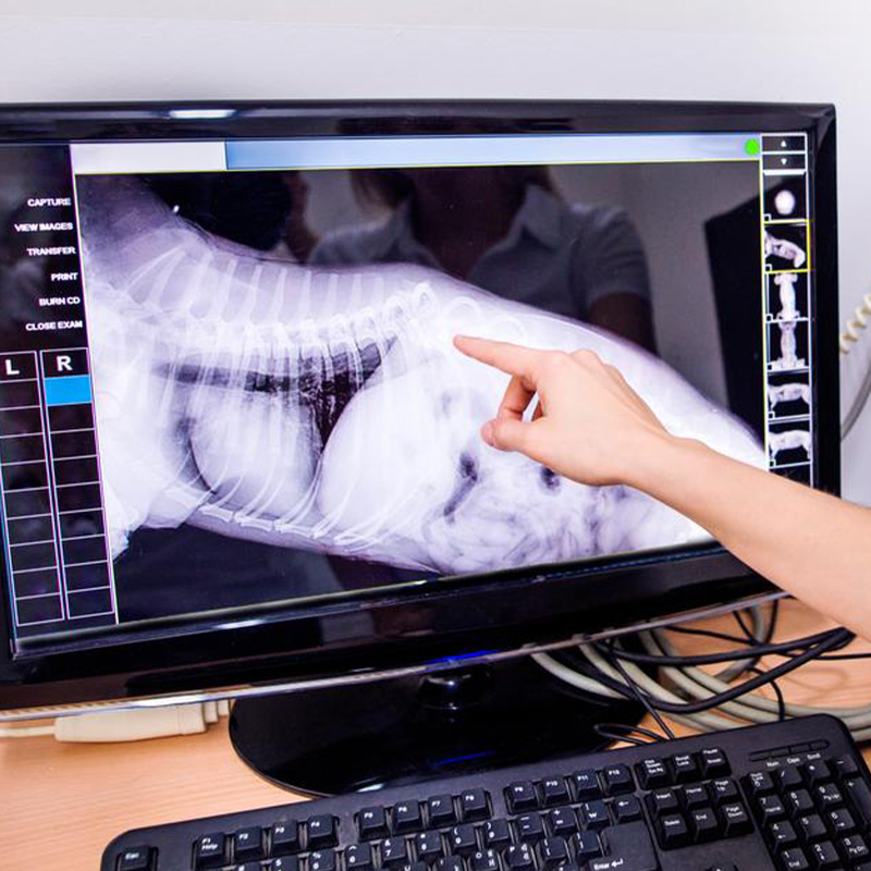 Diagnostic Imaging