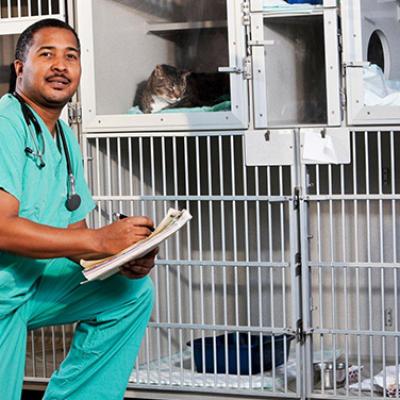 Veterinary Isolation Ward