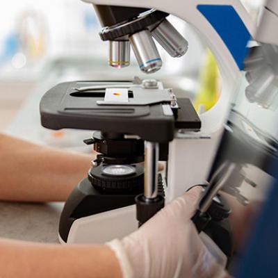 Veterinary Diagnostic Tools